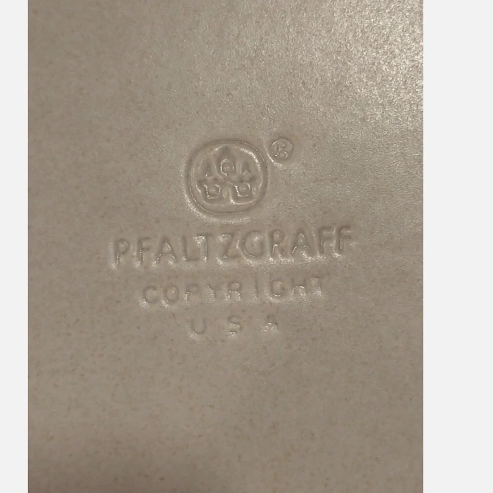Pfaltzgraff platter check
